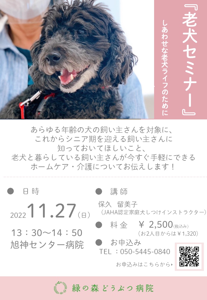11/27(日)老犬セミナーのお知らせ