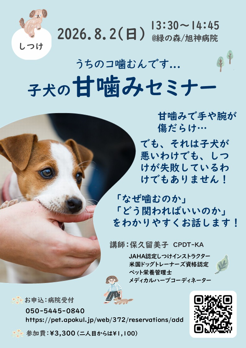 甘噛みセミナー開催のおしらせ