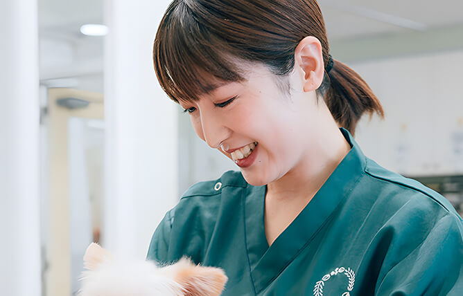 画像:経験豊富などうぶつの専門家