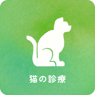 猫の診療